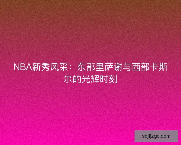NBA新秀风采：东部里萨谢与西部卡斯尔的光辉时刻