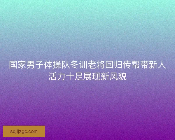 国家男子体操队冬训老将回归传帮带新人活力十足展现新风貌